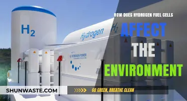 Hydrogen Fuel Cells: Environmental Impact and Sustainability Explained