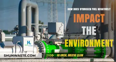 Hydrogen Fuel's Environmental Drawbacks: Uncovering Its Hidden Ecological Costs