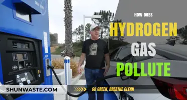 Hydrogen's Dark Side: Pollution and Climate Change