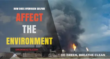 Hydrogen Sulfide's Environmental Impact: Pollution, Ecosystems, and Climate Effects