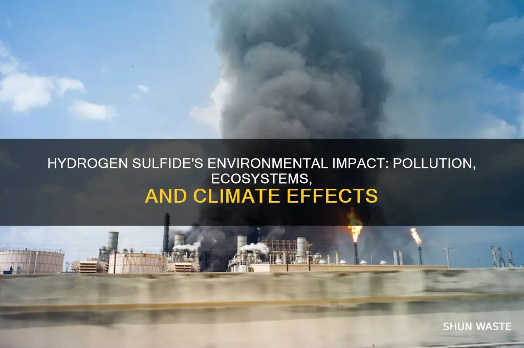 how does hydrogen sulfide affect the environment