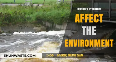 Hydrology's Impact: Shaping Ecosystems, Climate, and Environmental Sustainability
