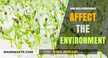 Hydroponics and the Environment: Sustainable Benefits and Ecological Impact