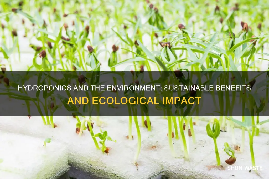 how does hydroponics affect the environment
