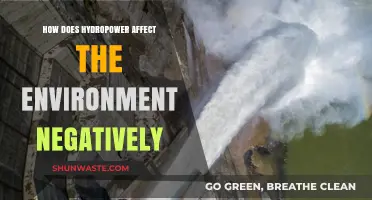 Hydropower's Hidden Costs: Environmental Impacts and Ecosystem Disruption