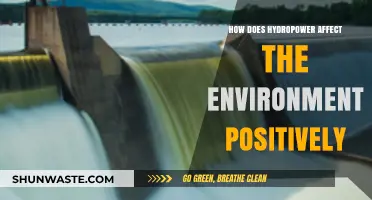Hydropower's Green Impact: Positive Environmental Effects Explained