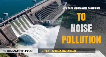 Hydropower's Dark Side: The Noise Pollution Conundrum