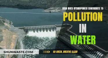 Hydropower's Dark Secret: Unveiling Water Pollution's Hidden Costs