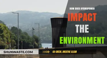 Hydropower's Environmental Impact: Benefits, Challenges, and Sustainability Solutions