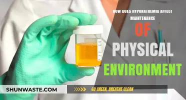 Hyponatremia's Impact on Physical Environment Maintenance: Key Insights
