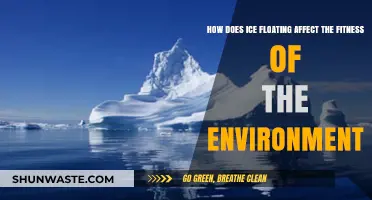Ice Floating's Impact on Environmental Fitness and Ecosystem Balance