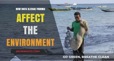 Illegal Fishing's Devastating Impact on Marine Ecosystems and Biodiversity