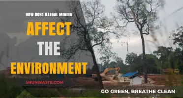 Illegal Mining's Devastating Environmental Impact: Destruction, Pollution, and Ecosystem Loss