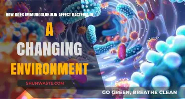 Immunoglobulin's Role in Combating Bacteria Amidst Environmental Shifts
