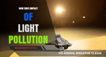 Light Pollution: Its Impact and Our Solutions