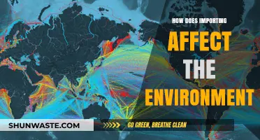 Importing's Environmental Impact: Uncovering the Hidden Costs of Global Trade