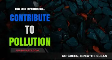 Coal Imports: A Burning Issue for the Environment
