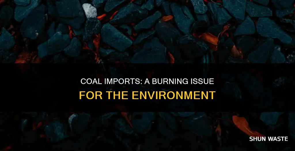 how does importing coal contribute to pollution