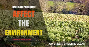 Food Imports: Environmental Impact and Sustainable Solutions Explored
