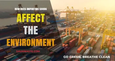 Importing Goods: Environmental Impacts and Sustainable Solutions Explored