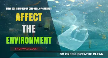 Improper Garbage Disposal: Devastating Environmental Impacts and Sustainable Solutions