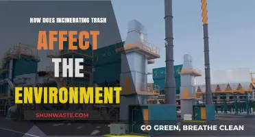 Incinerating Trash: Environmental Impacts and Sustainable Alternatives Explored