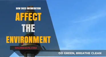 Incineration's Environmental Impact: Pollution, Emissions, and Sustainability Concerns