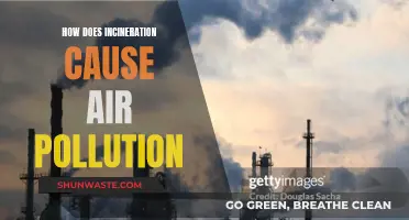 Incineration's Impact: Unveiling the Air Pollution Mystery