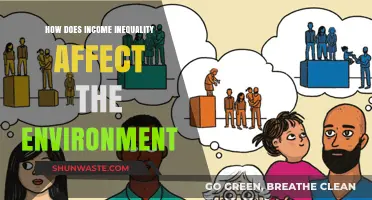 Income Inequality's Impact: Environmental Consequences and Sustainability Challenges