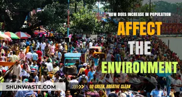 Population Growth's Impact: Environmental Consequences and Sustainable Solutions