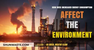 Rising Energy Consumption: Environmental Impacts and Sustainable Solutions
