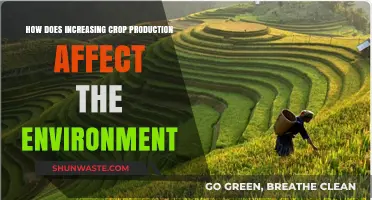 Boosting Crop Yields: Environmental Impacts and Sustainable Farming Solutions