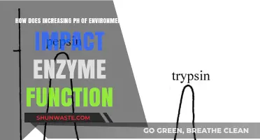 Rising pH Levels: Unraveling Enzyme Function and Environmental Impact