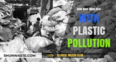 India's Battle Against Plastic Pollution