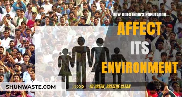 India's Population Boom: Environmental Impacts and Sustainability Challenges