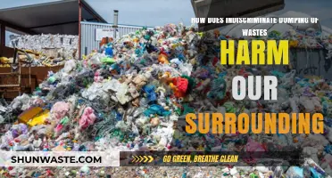 Indiscriminate Waste Dumping: Devastating Impacts on Our Environment and Health