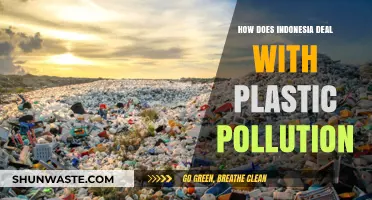 Indonesia's War Against Plastic Pollution