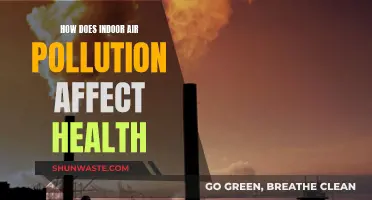 Air Quality Alert: Indoor Pollution's Health Impact