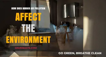 Indoor Air Pollution's Hidden Impact on Our Environment and Health