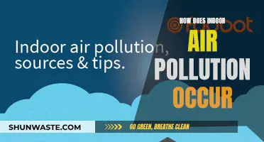 Indoor Air Pollution: Understanding the Sources and Causes