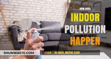 Indoor Pollution: Unseen Toxins in Your Home