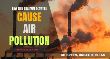 Industrial Activities: Major Air Polluters