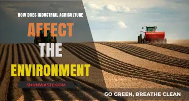 Industrial Agriculture's Environmental Impact: Soil, Water, and Climate Consequences