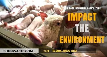 Industrial Agriculture's Environmental Impact: Challenges and Sustainable Solutions
