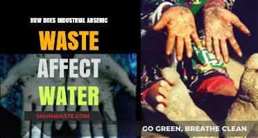 Industrial Arsenic Waste: Its Toxic Impact on Water Sources