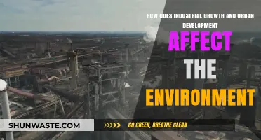 Urbanization and Industry: Environmental Impacts of Rapid Development