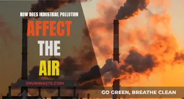 Industrial Pollution's Impact on Air Quality