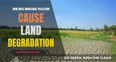 Unveiling the Impact: Industrial Pollution's Role in Land Degradation