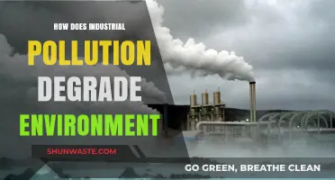 Industrial Pollution: Degradation of Our Environment