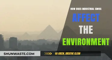 Industrial Smog's Devastating Impact on Ecosystems and Air Quality